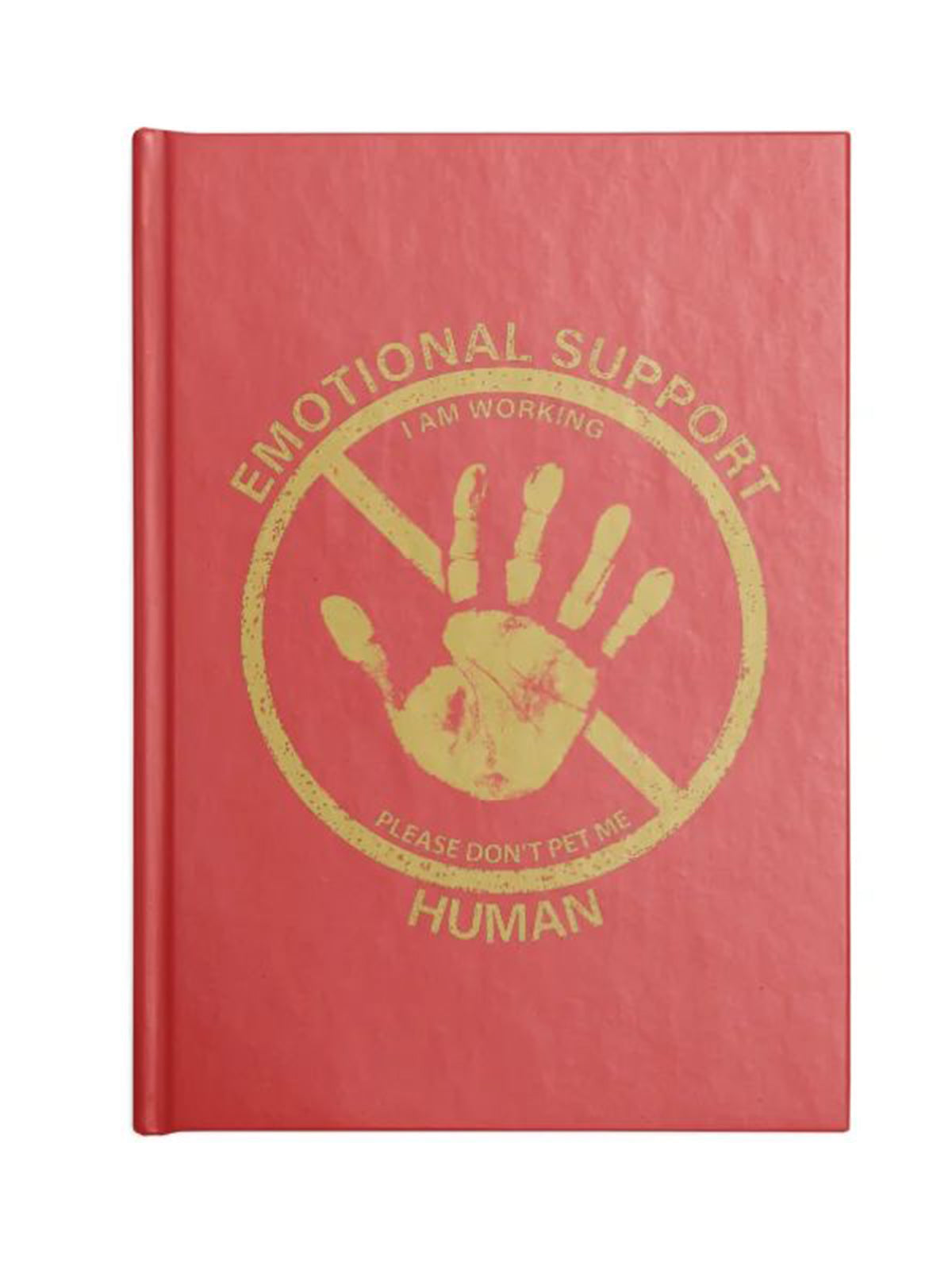 Brand Visual Direction Guide — PDF #60